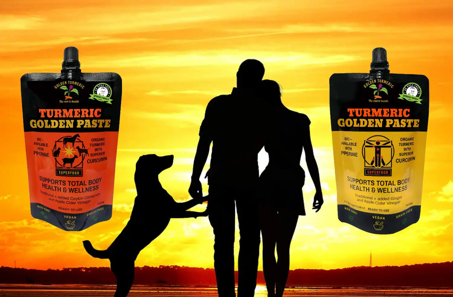 How much turmeric paste should be taken daily for humans and dogs